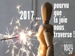 voeux-2017