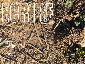 ecrire-v2