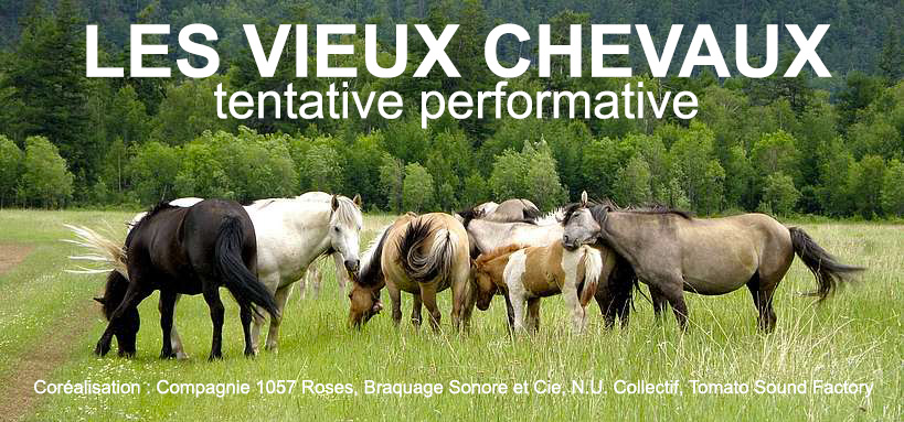 Trainance - LES VIEUX CHEVAUX du 22 au 26 juin ça travaille ... Villeneuve-lès-Maguelonne - Théâtre Jean Savary